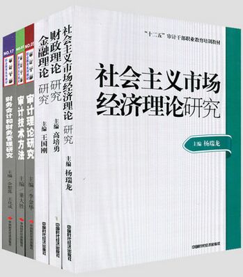 高级审计师考试教材（全套共6本）