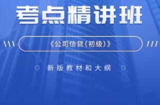 2023年银行从业资格证网课培训教材考点精讲班:公司信贷（初级）