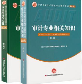 2020年初中级审计师考试教材（审计理论与实务+审计相关知识）官方正版2020审计师教材