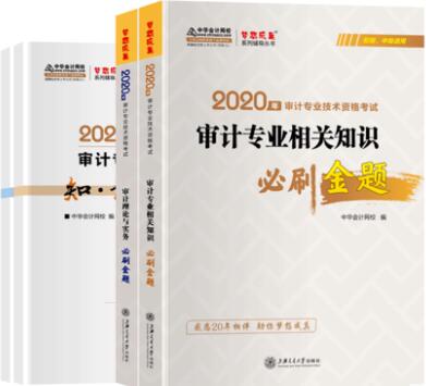 审计师初中级考试2020审计理论与实务+审计专业相关知识必刷金题