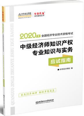 2020年经济师考试应试指南：知识产权专业与实务（中级）