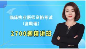 2024年临床执业医师真题视频解析班2700题精讲班