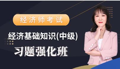 2023年中级经济师经济基础知识教学视频习题强化班